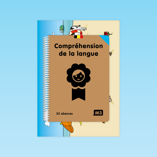 Guide complet Compréhension de la langue M3